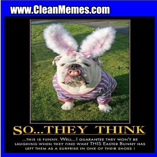 Download the Best of Funny Animal Easter Memes.
