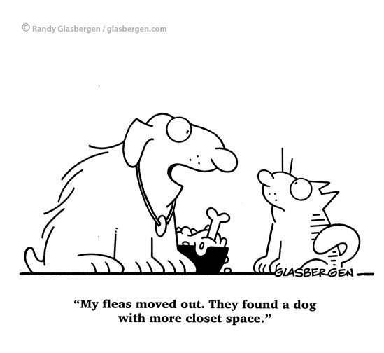 Real Estate Cartoons dog dogs pup pooch sell seller flea fleas closet closets closet space tenants rent renter rental property talking dog